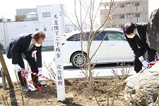 植樹をする北堀市長